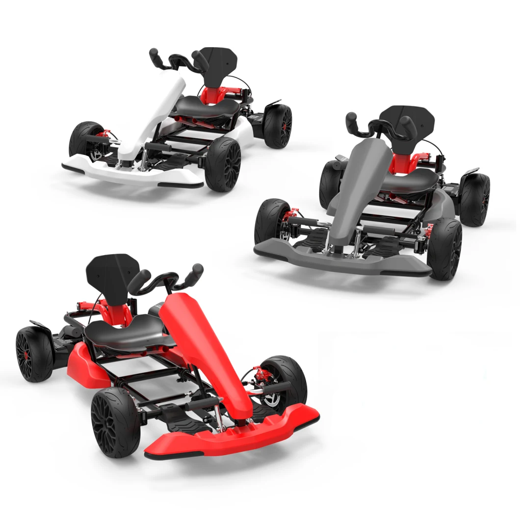 Go Kart PRO High Speed Racing Go Karting Adult Electric Racing Go Kart for Sale Go Karts Kit off Road