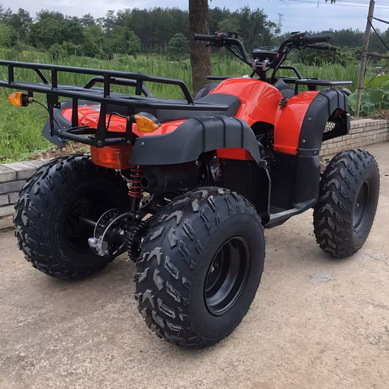 Cheap 200cc ATV Quad Bike Beach Buggy for Sale with Electric Start ATV