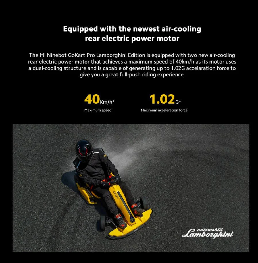 Ninebot Seg Way Xiaomi Lamborghini Gokart Karting Steering Cross Buggy Car Racing Adults off Road Go-Kart Electric Go Karts