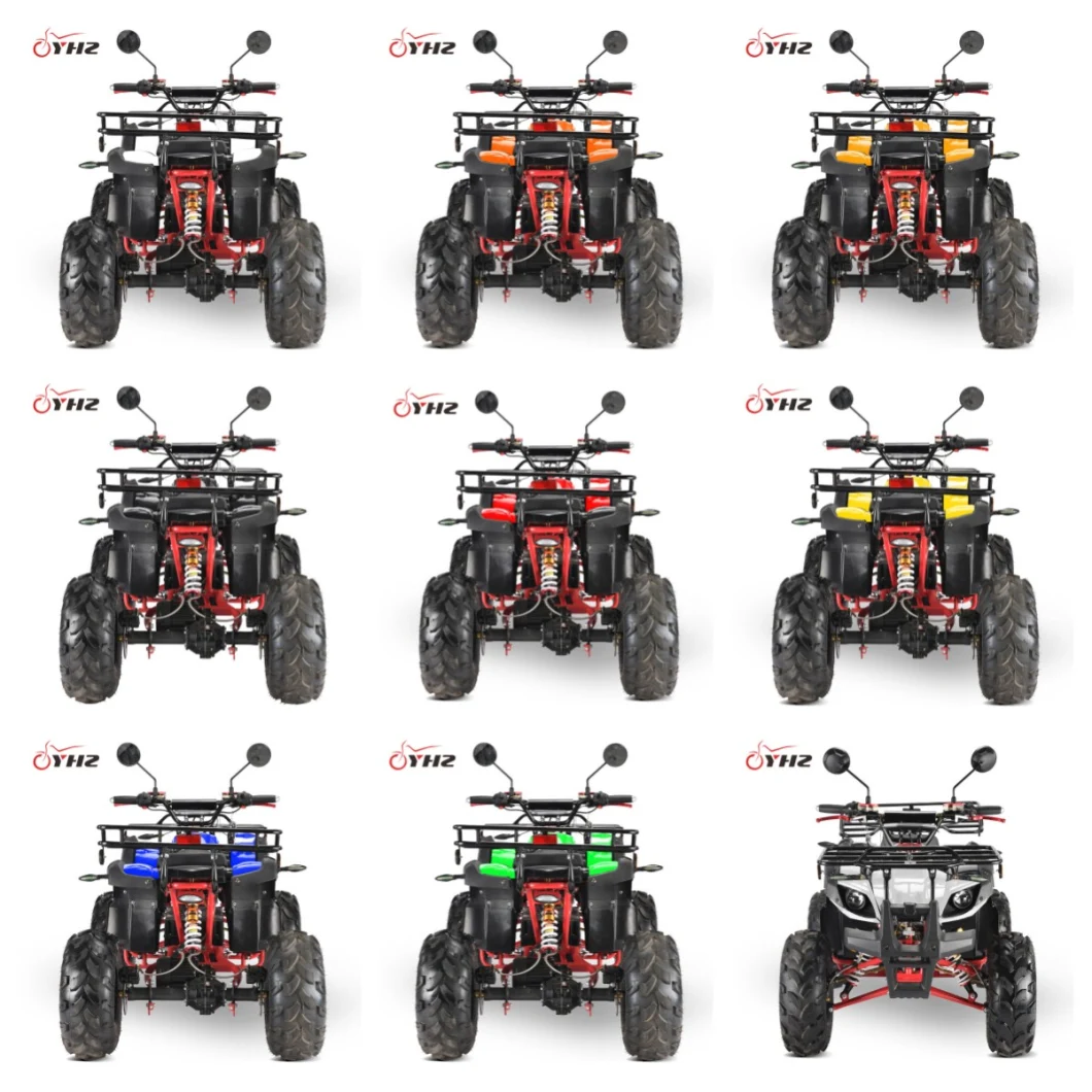 EEC Coc Quad Moped Powerful Lithium Battery 2000W Skateboard Mobility Scooter 4-Wheel Electric ATV