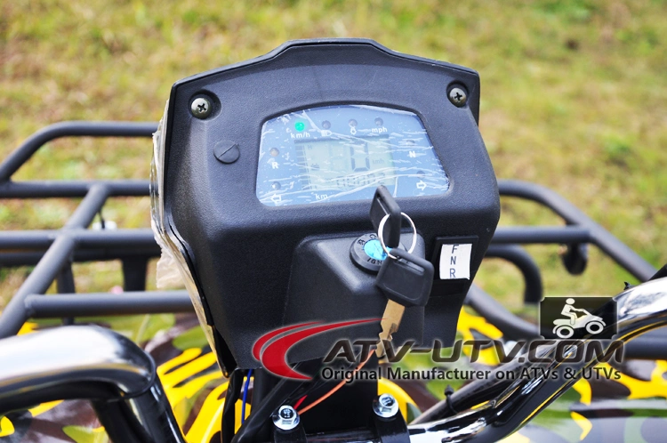 Factory Driect Selling 2000W 3000W 4000W Big Adult Electric ATV