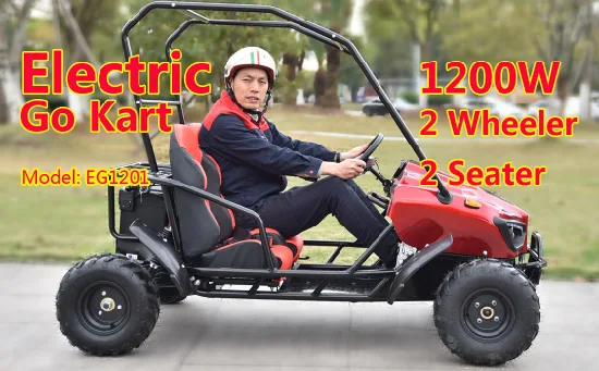 China-Lieferant, günstiger Verkauf eines 60-V-Elektro-Farm-Offroad-Gokarts für Kinder und Erwachsene zu besten Preisen