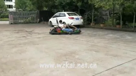 Vergnügungspark-Rennen für Erwachsene, zwei Personen, 2 Spieler, Benzin-Pedal-Gokart