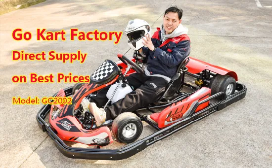 Fabrik Großhandel Elektrostart Bester Preis Vergnügungspark Drift Erwachsene Racing 200cc 250cc Gas Sport Kart Cart Dune Buggy Gokart Gobuggy Benzin Go Karts zu verkaufen