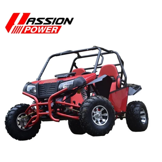 Benzin 4-Takt 150/200/300 cc Racing Dune Buggy Off-Road-Gokart für Erwachsene