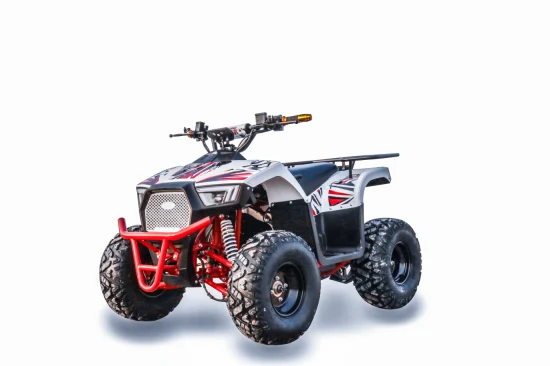 2022 60V 1000W Elektro-ATV-Quad für Erwachsene/Jugendliche