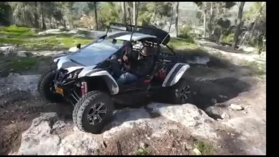 500cc 4X4 28kw Doppelsitze Offroad Dune Buggy UTV Go Kart