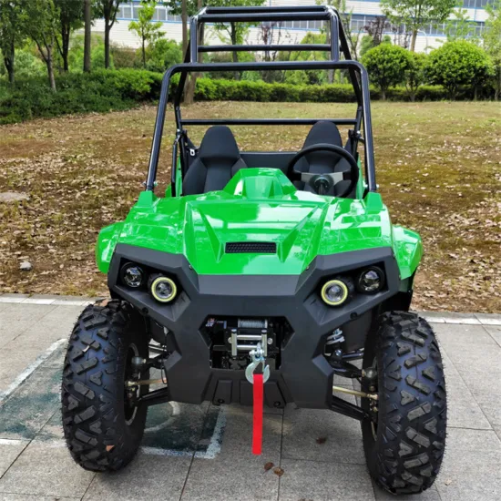 Elektrischer UTV Farmer Cart All-Terrain-Geländewagen-Gokart 1500 W 3000 W