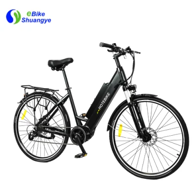 Motorrad Elektro-Mountainbike 60 km Lithiumbatterie Shuangye oder Hotebike OEM 750 W Elektrofahrrad 1000 W Ebike Elektro-Dirtbike